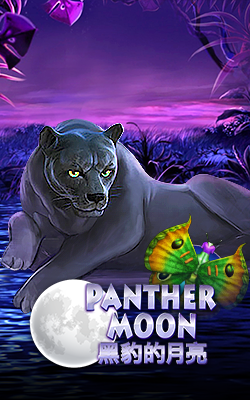 ภาพประกอบเกม Panther Moon Joker Gaming
