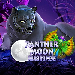 รีวิวเกม Panther Moon Joker Gaming